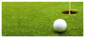 DNSEMP-L-342 Gone Golfing (Balls)